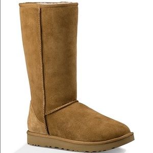 Women’s Classic Tall Tan Uggs